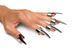 Набір кілець з кігтями Master Series Five-Piece Sensation Claw Rings - Silver SX1191 фото 1